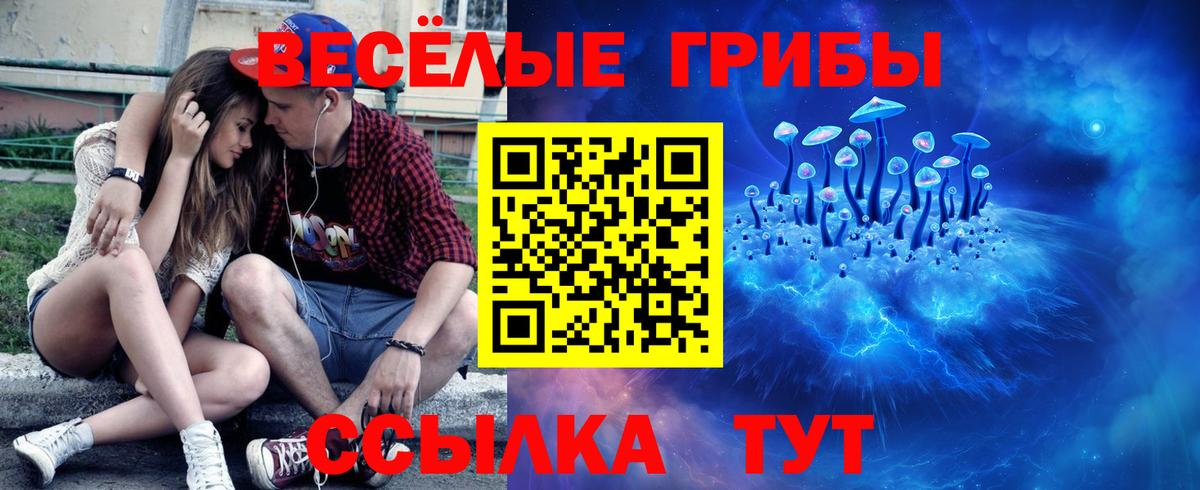 Псилоцибиновые грибы мухоморы Димитровград
